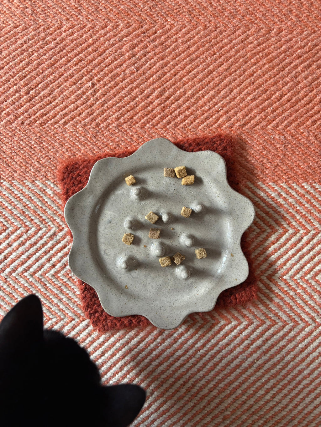 Slow feeder plate for cats