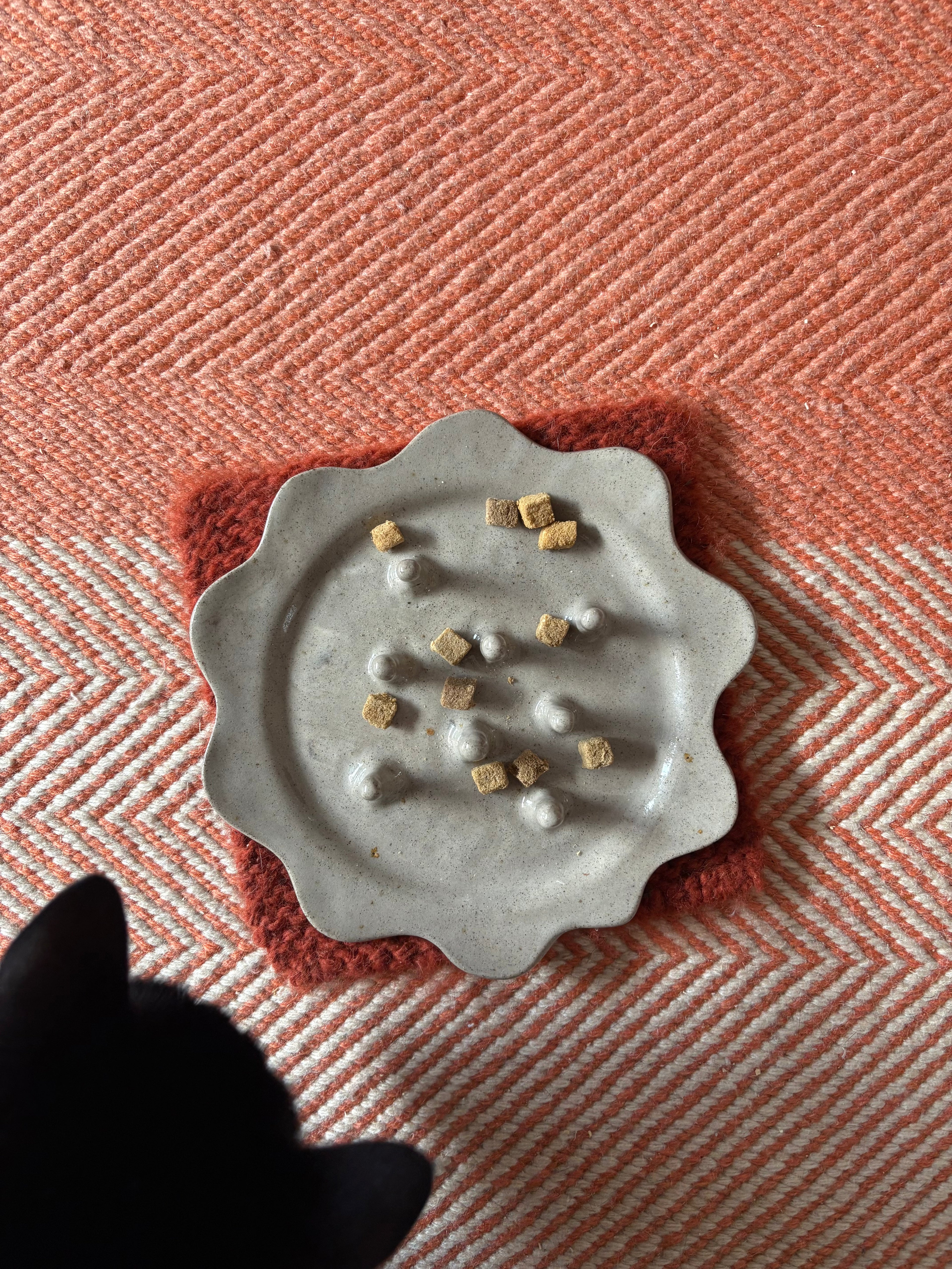 Slow feeder plate for cats