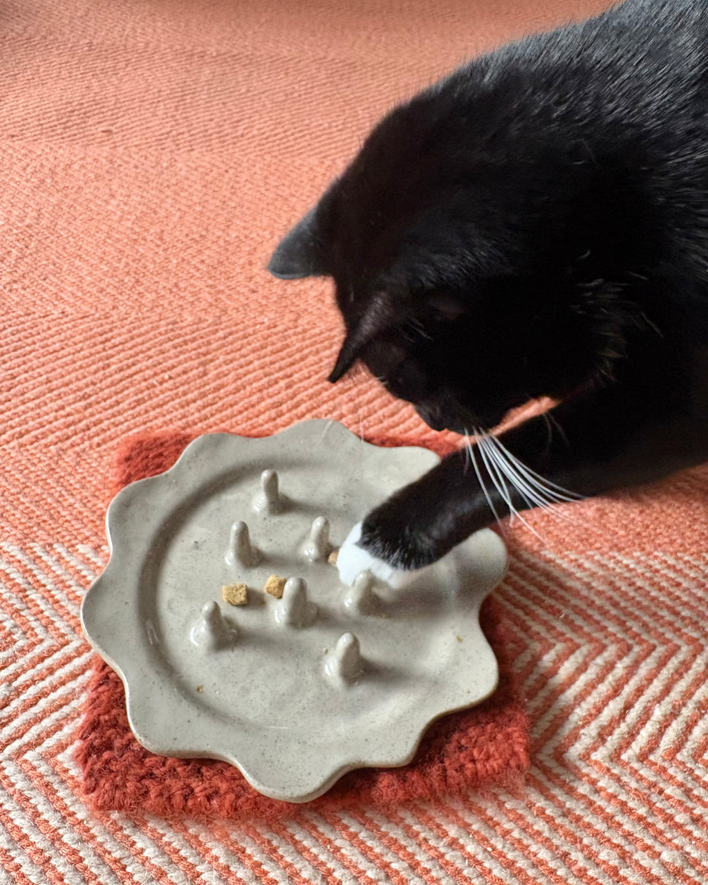 Slow feeder plate for cats